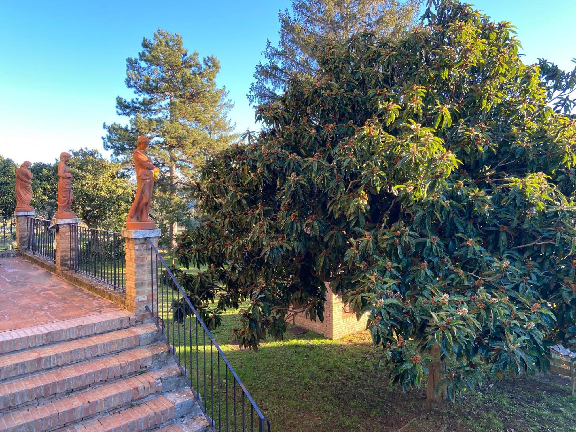 Casaletolfe Residence Siena Exteriér fotografie